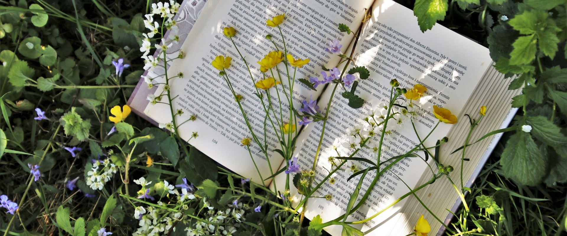 livre ouvert avec des fleurs et herbe