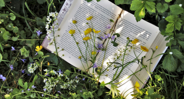 livre ouvert avec des fleurs et herbe